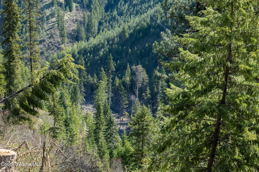 NKA 262 Ac North Side Road Calder, ID 83808