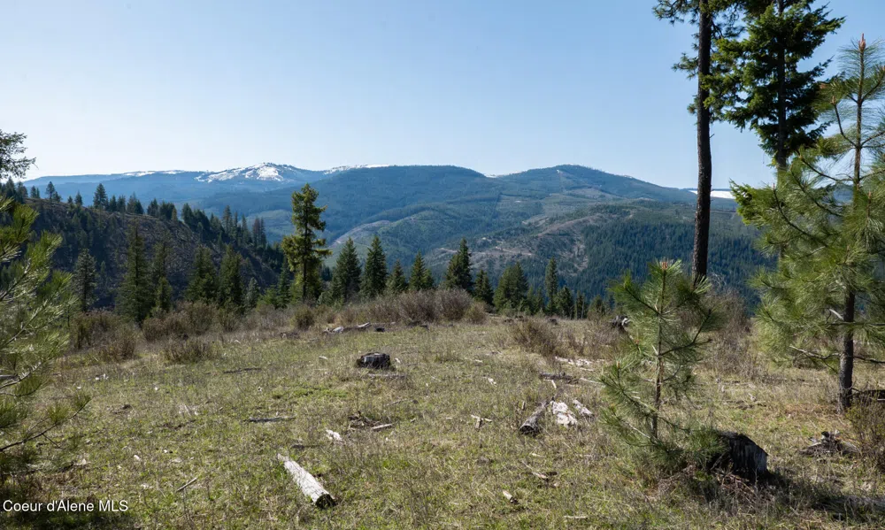 NKA 262 Ac North Side Road Calder, ID 83808