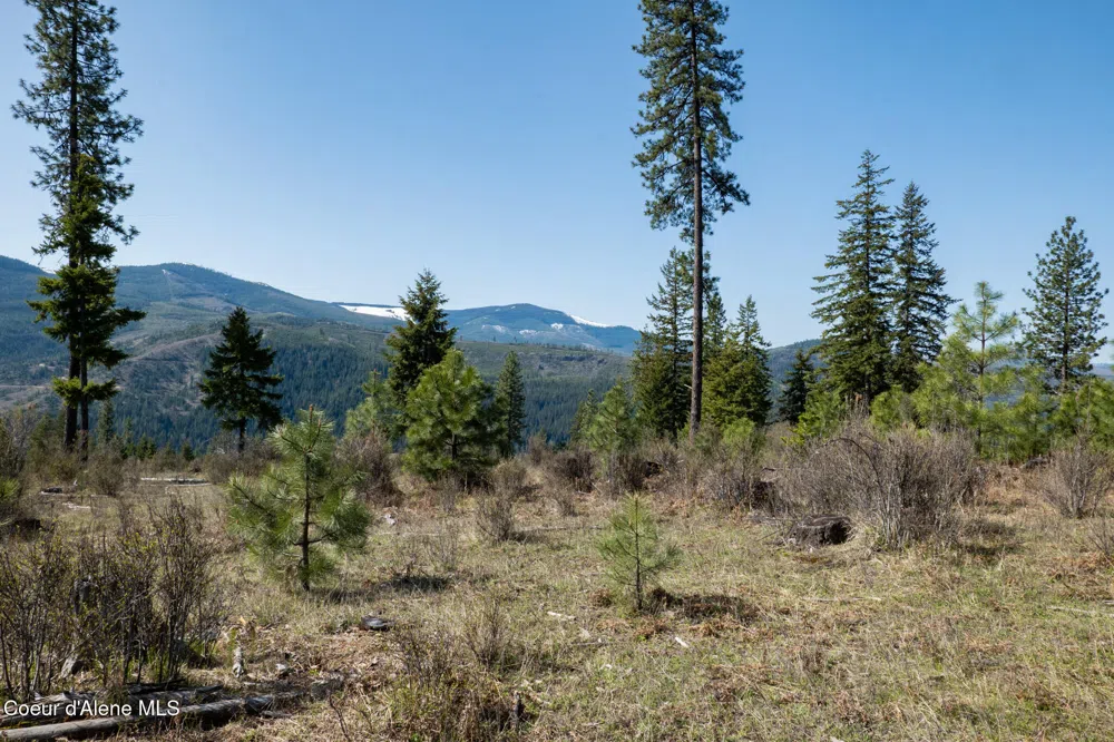 NKA 262 Ac North Side Road Calder, ID 83808
