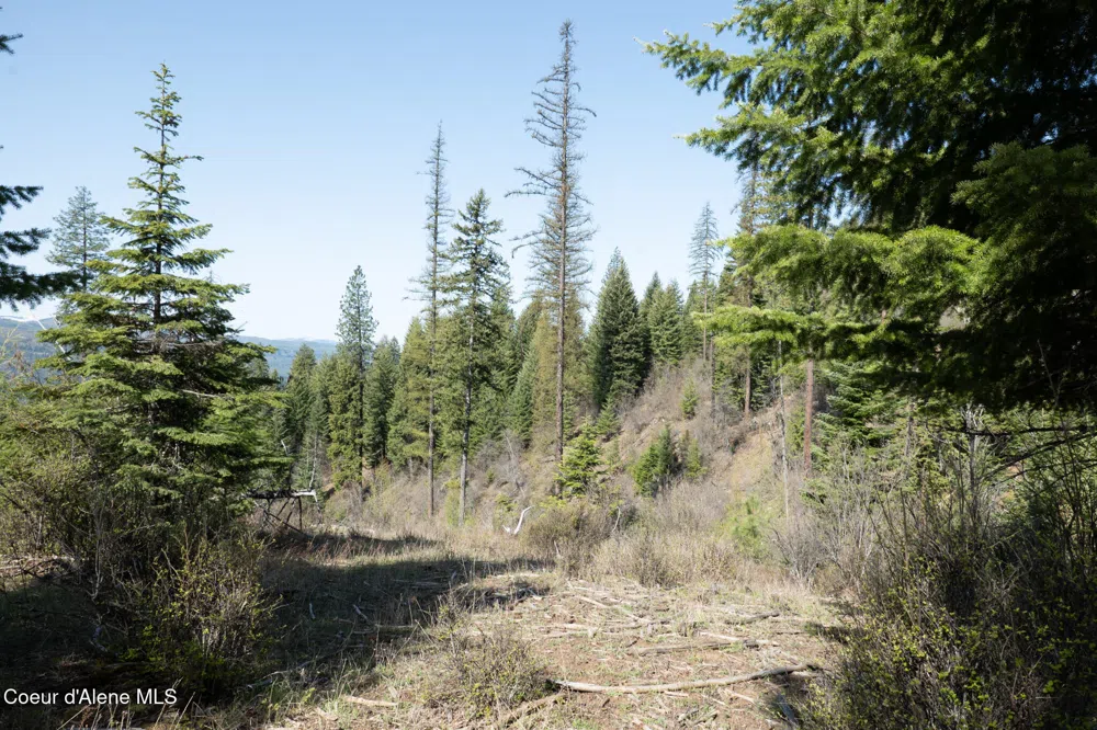 NKA 262 Ac North Side Road Calder, ID 83808