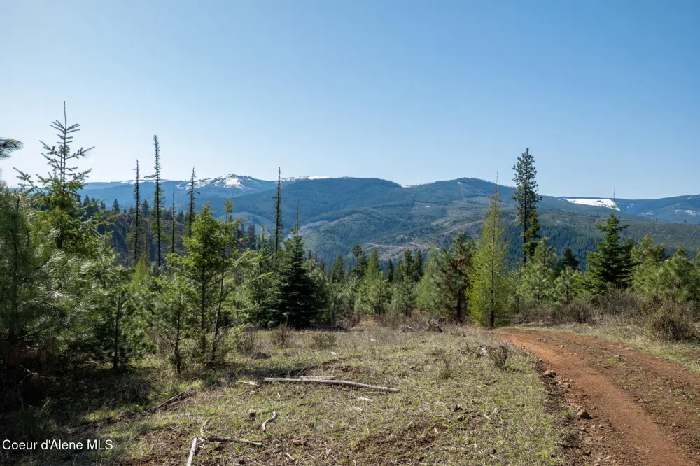 NKA 262 Ac North Side Road Calder, ID 83808