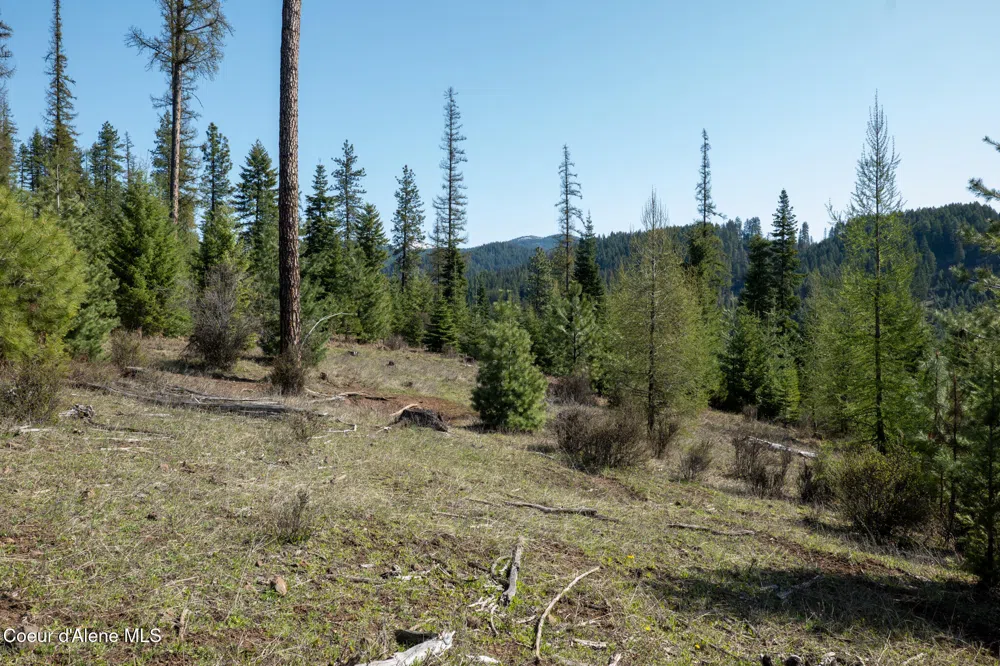 NKA 262 Ac North Side Road Calder, ID 83808