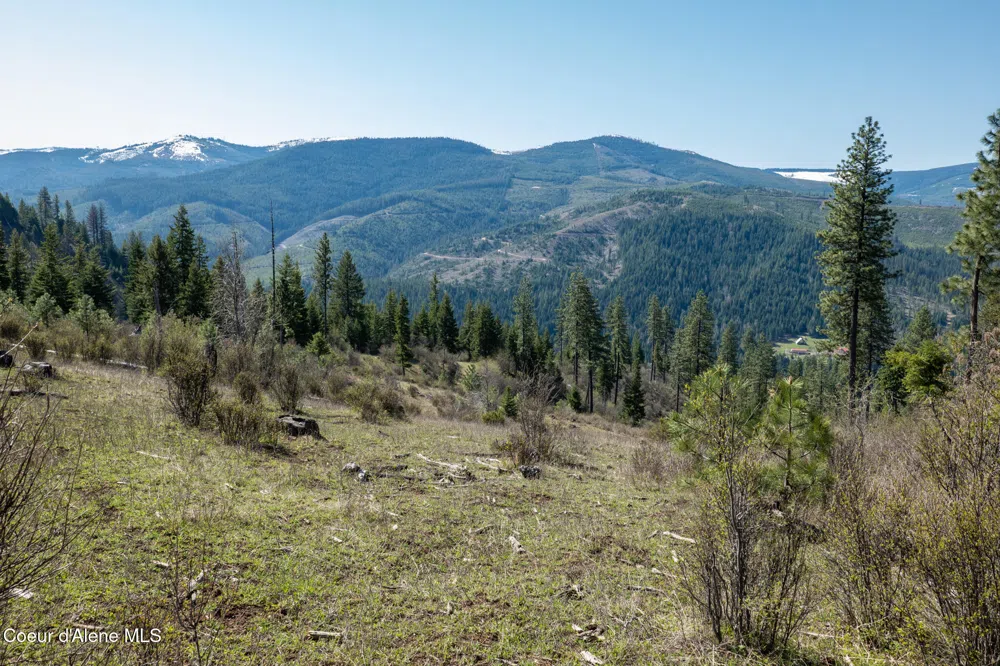 NKA 262 Ac North Side Road Calder, ID 83808