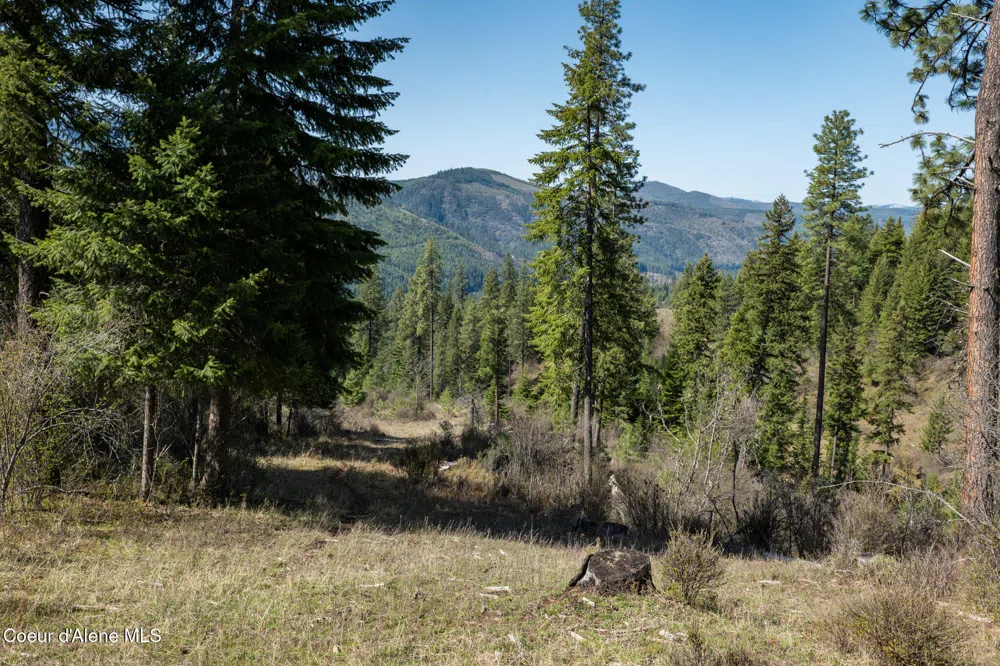 NKA 262 Ac North Side Road Calder, ID 83808