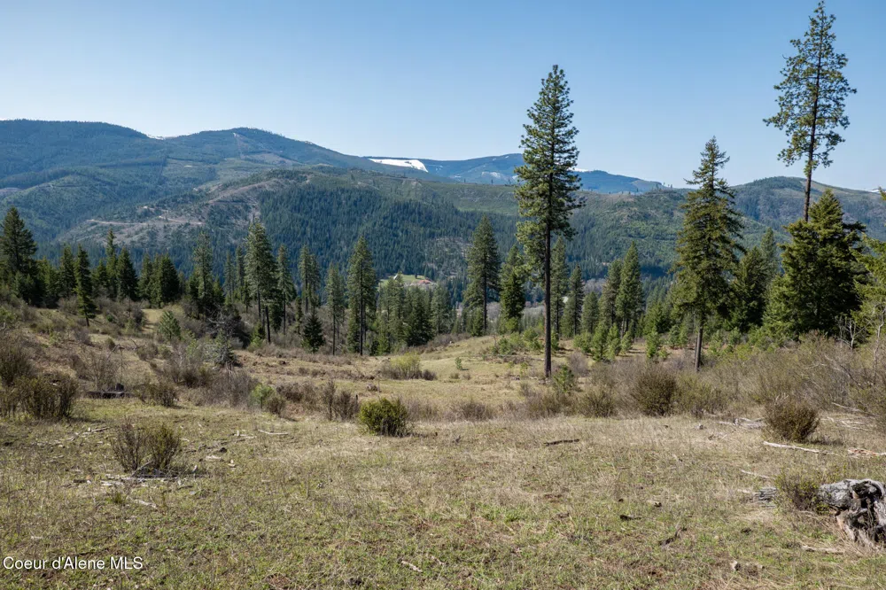 NKA 262 Ac North Side Road Calder, ID 83808
