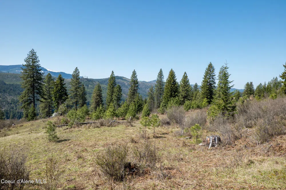 NKA 262 Ac North Side Road Calder, ID 83808