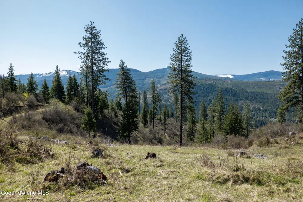 NKA 262 Ac North Side Road Calder, ID 83808
