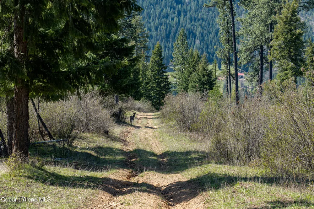 NKA 262 Ac North Side Road Calder, ID 83808