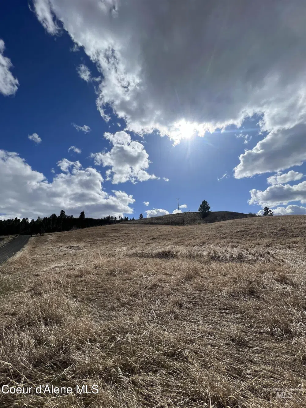 NKA Raven Drive Culdesac, ID 83524