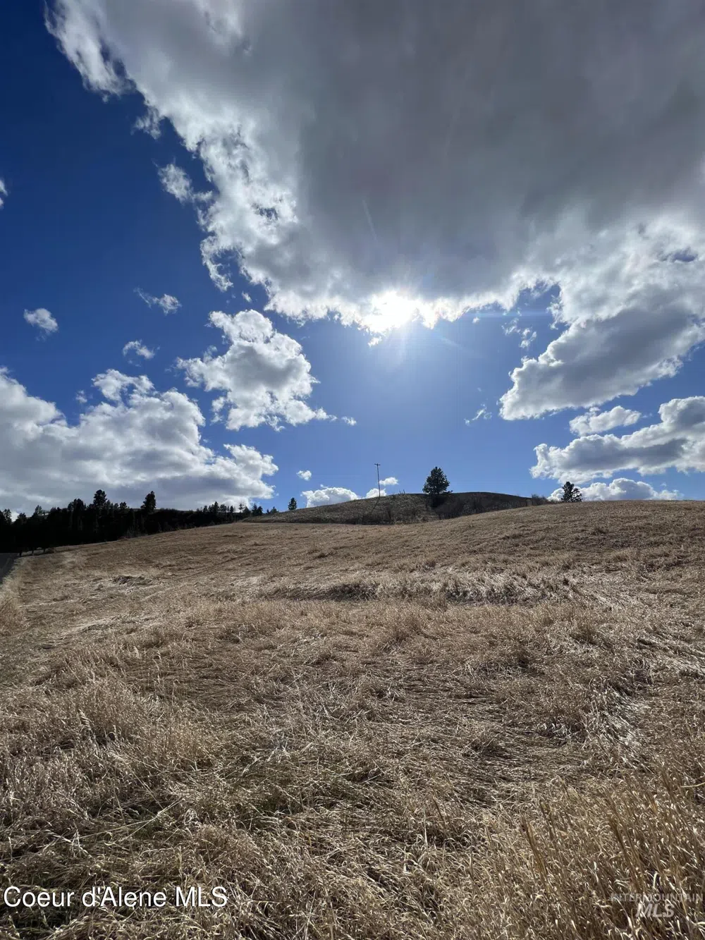 NKA Raven Drive Culdesac, ID 83524