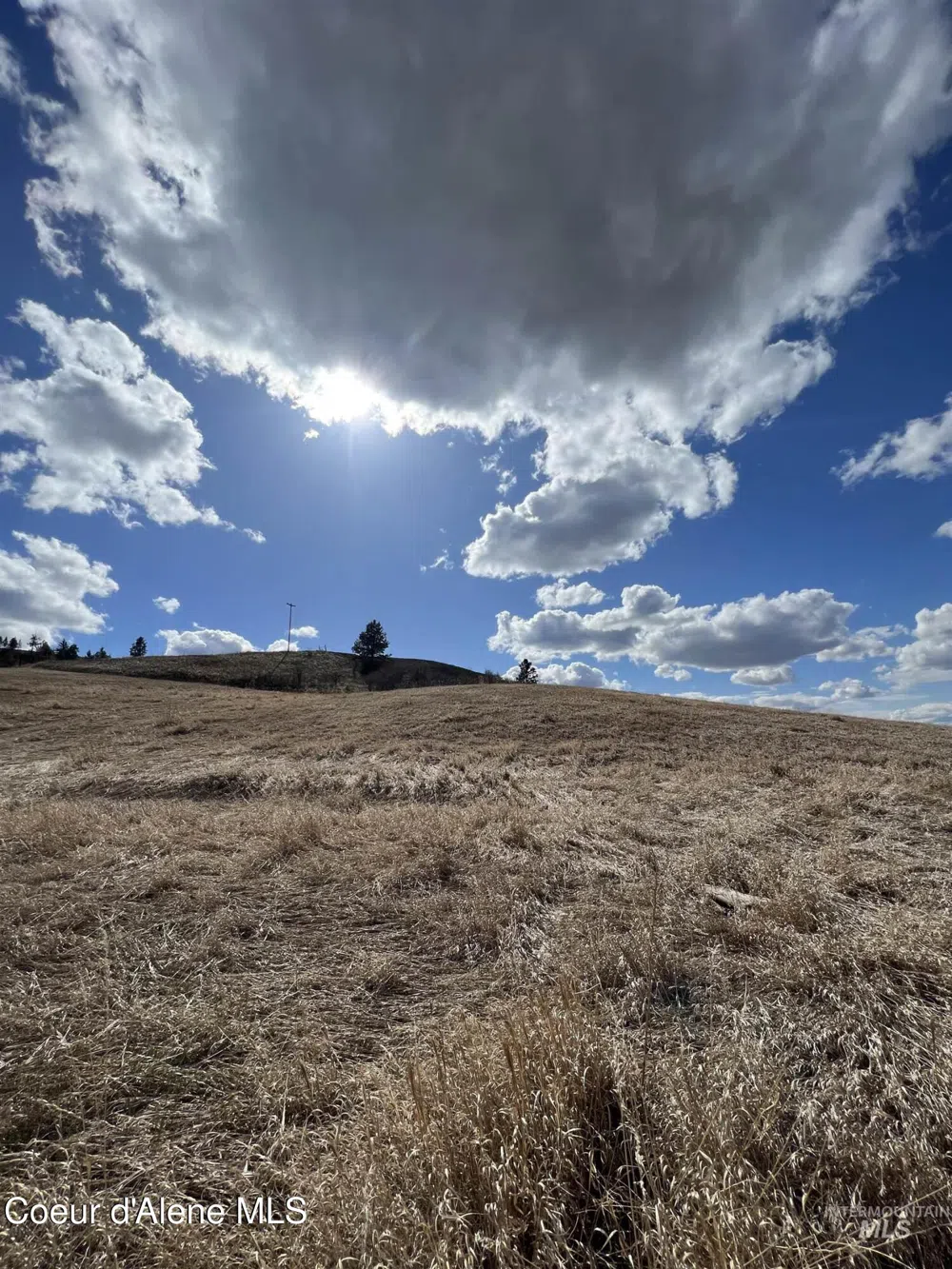 NKA Raven Drive Culdesac, ID 83524