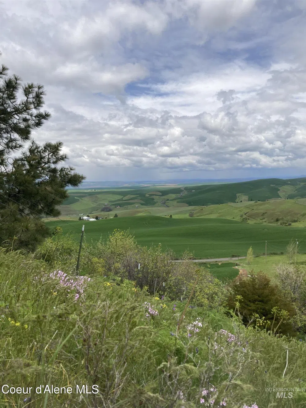 NKA Raven Drive Culdesac, ID 83524