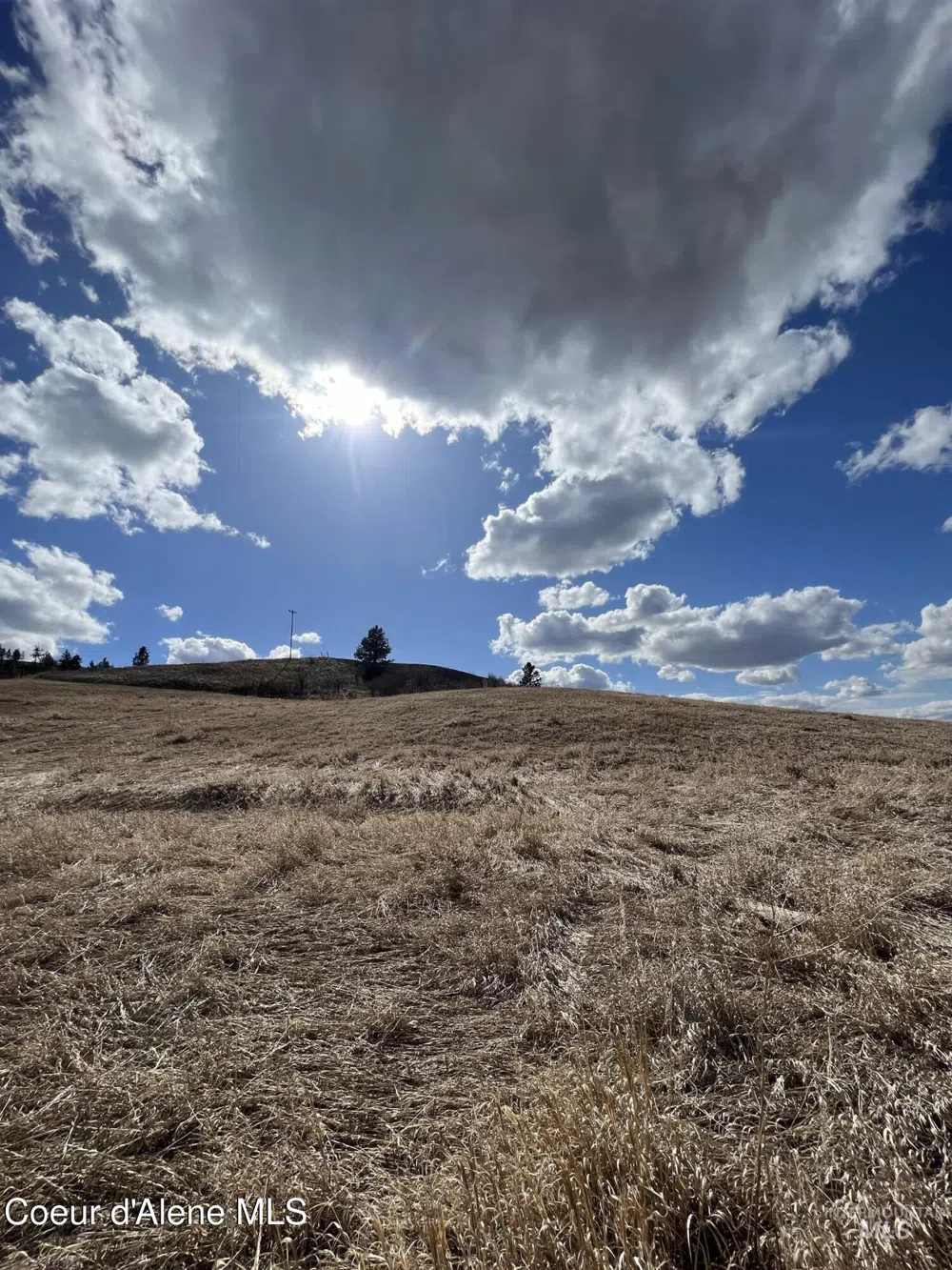 NKA Raven Drive Culdesac, ID 83524