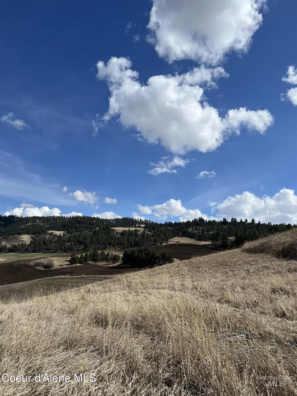 NKA Raven Drive Culdesac, ID 83524