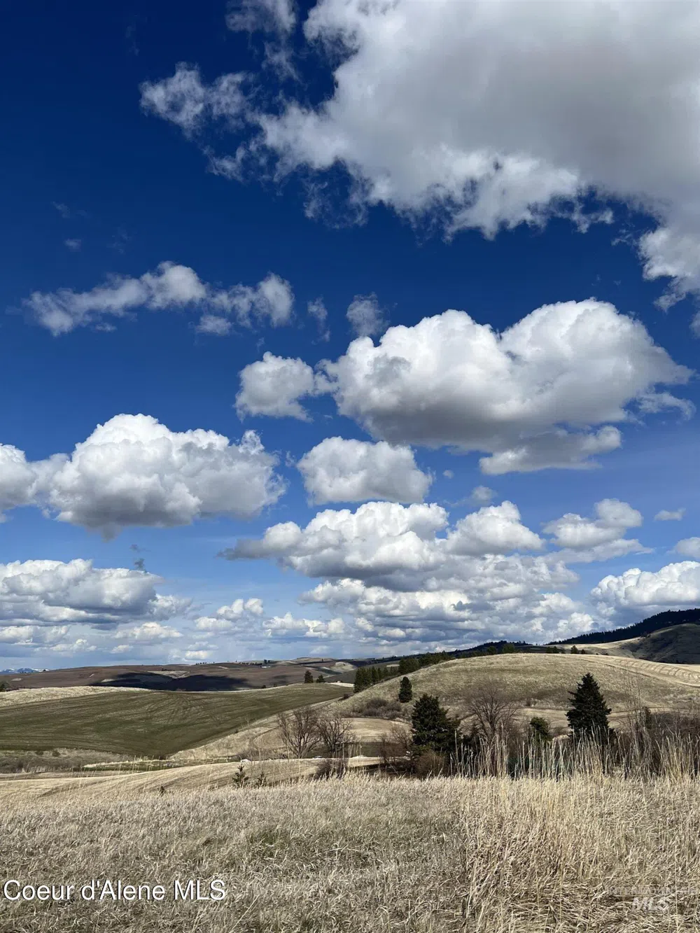 NKA Raven Drive Culdesac, ID 83524