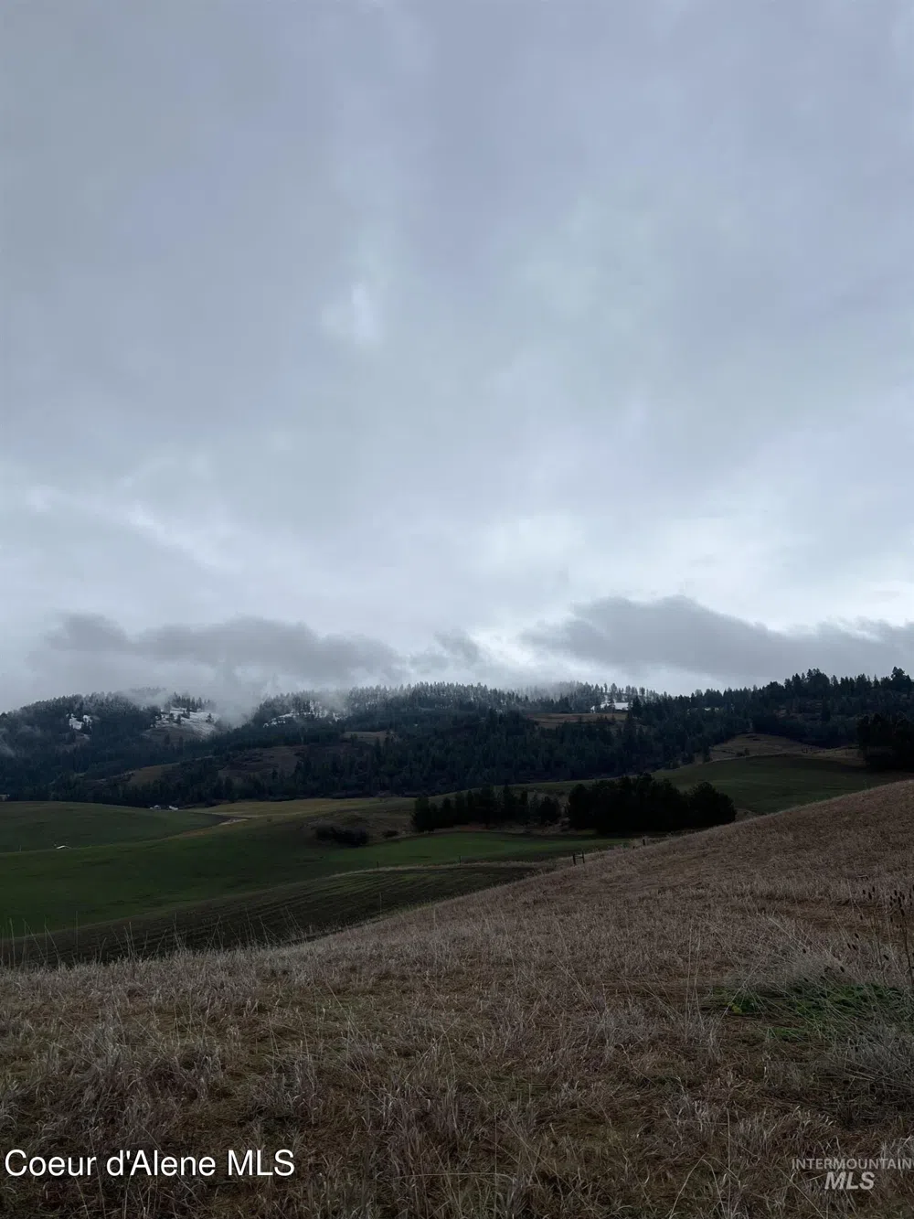 NKA Raven Drive Culdesac, ID 83524