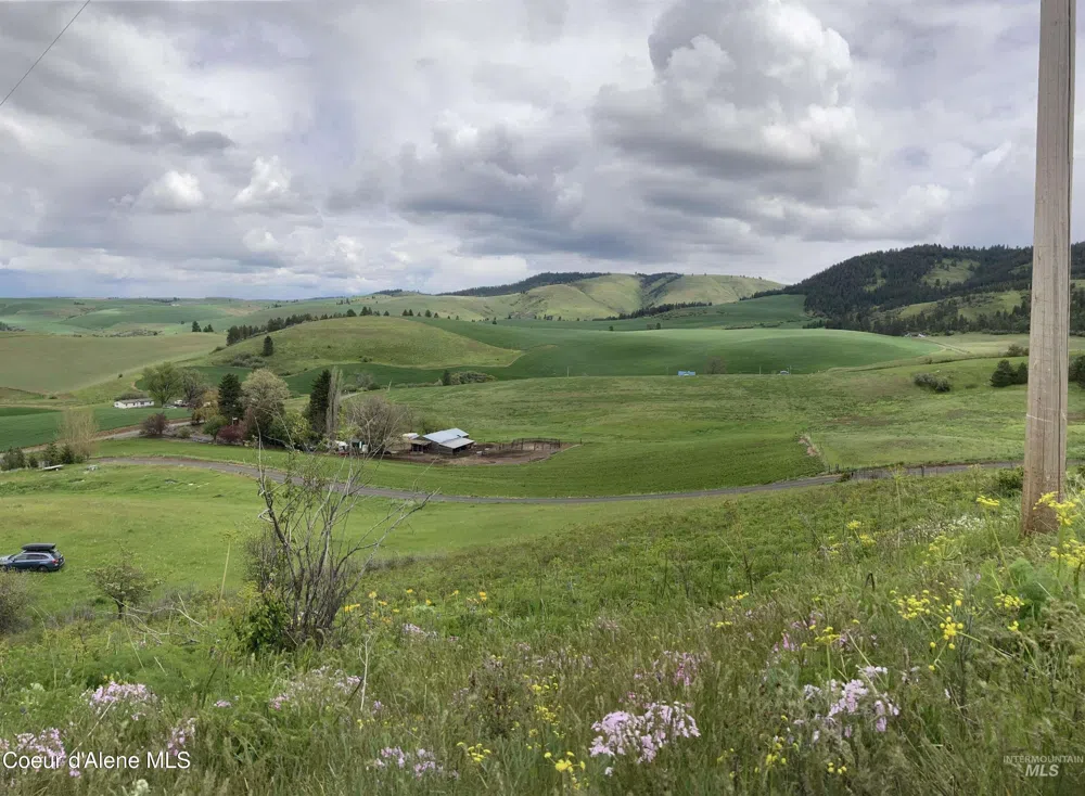 NKA Raven Drive Culdesac, ID 83524