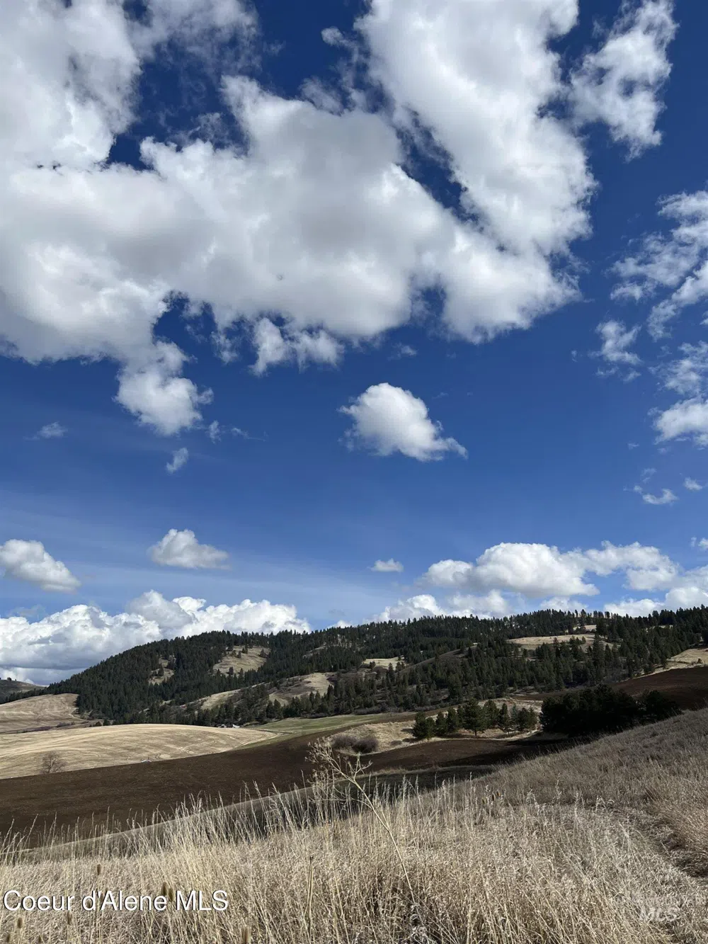 NKA Raven Drive Culdesac, ID 83524