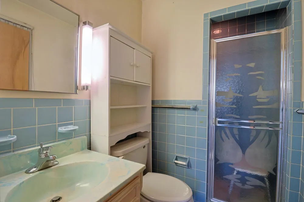 8670 E Pickard Road Chippewa Township, MI 48858