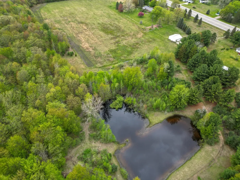 8670 E Pickard Road Chippewa Township, MI 48858