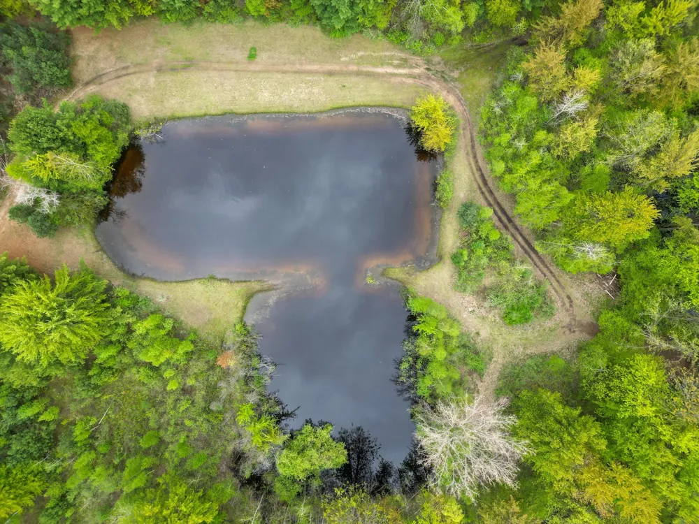 8670 E Pickard Road Chippewa Township, MI 48858