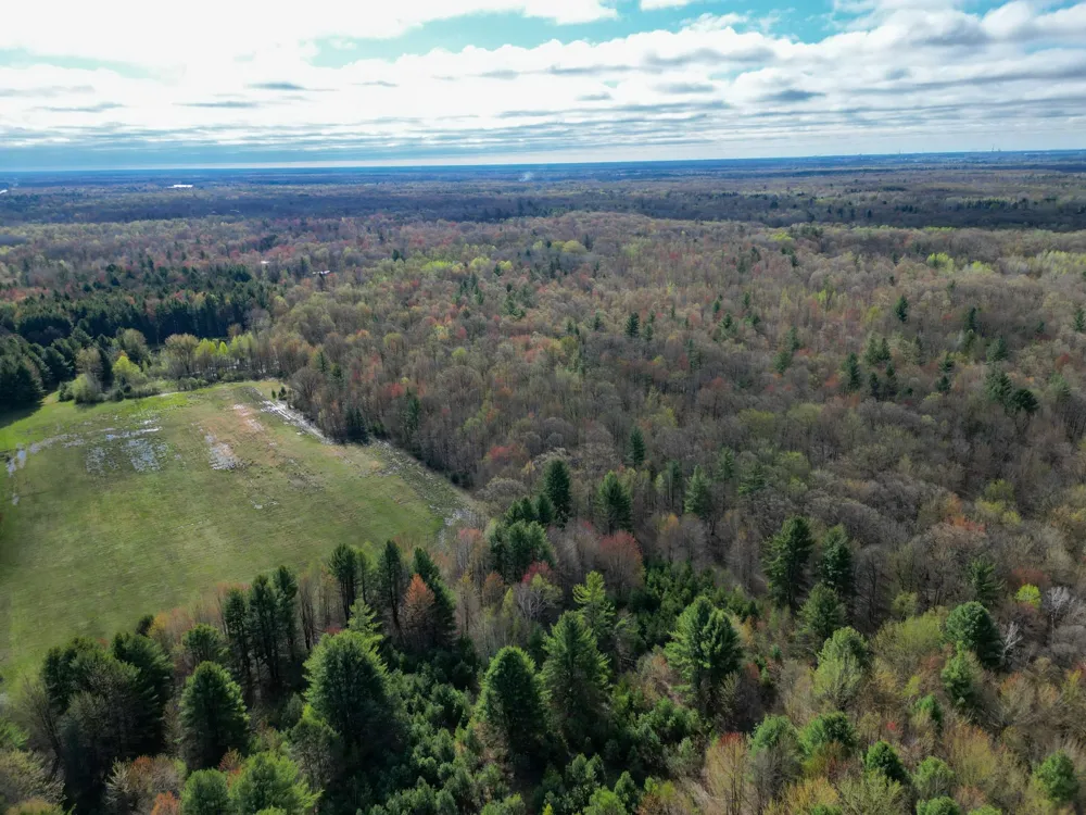 8670 E Pickard Road Chippewa Township, MI 48858