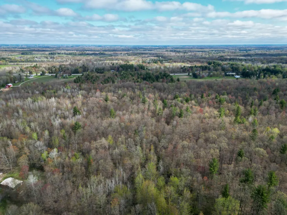 8670 E Pickard Road Chippewa Township, MI 48858