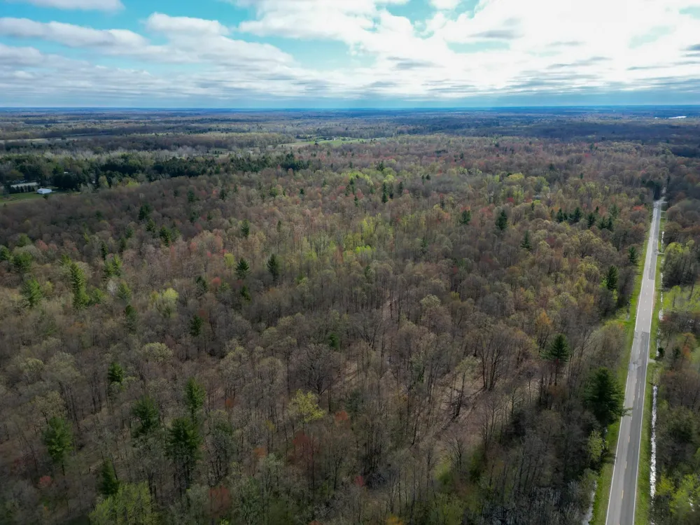 8670 E Pickard Road Chippewa Township, MI 48858