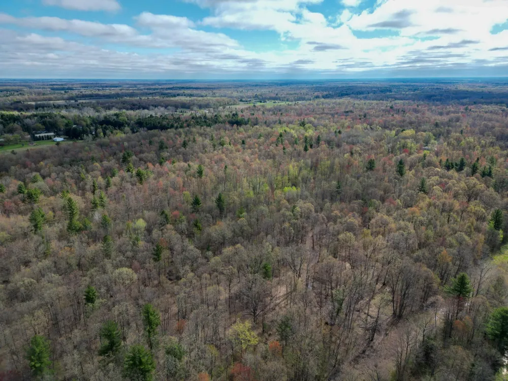 8670 E Pickard Road Chippewa Township, MI 48858