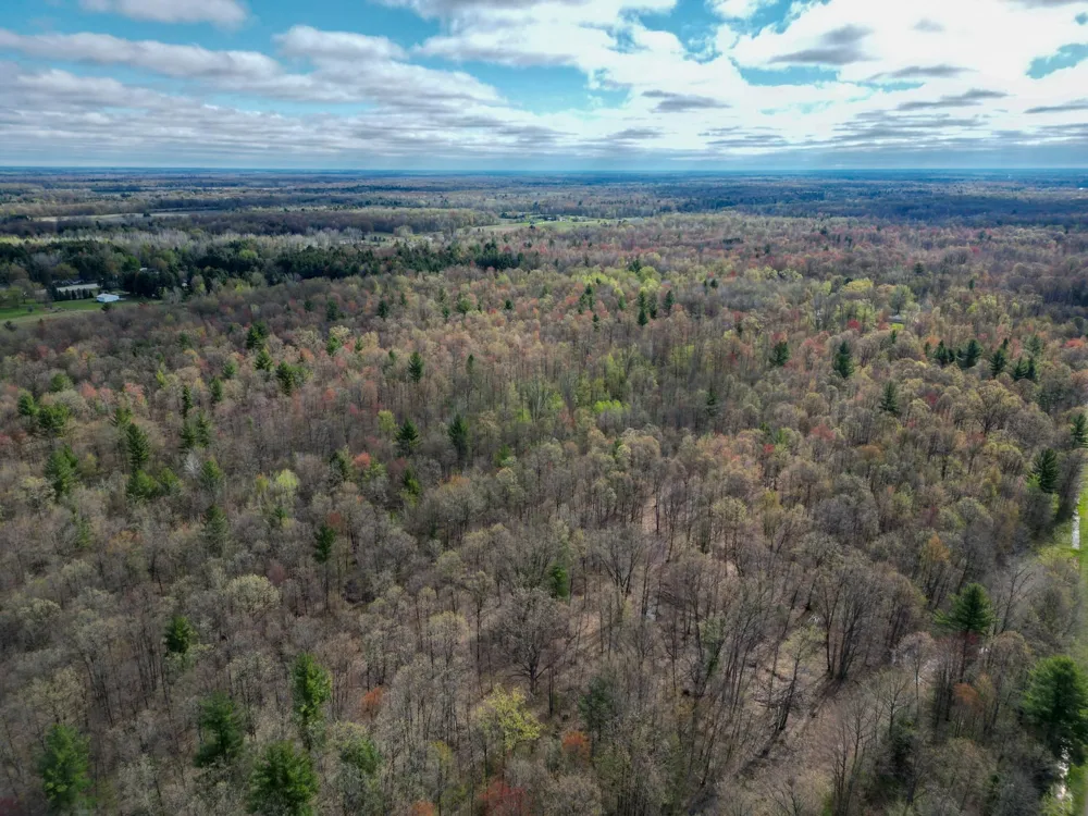 8670 E Pickard Road Chippewa Township, MI 48858