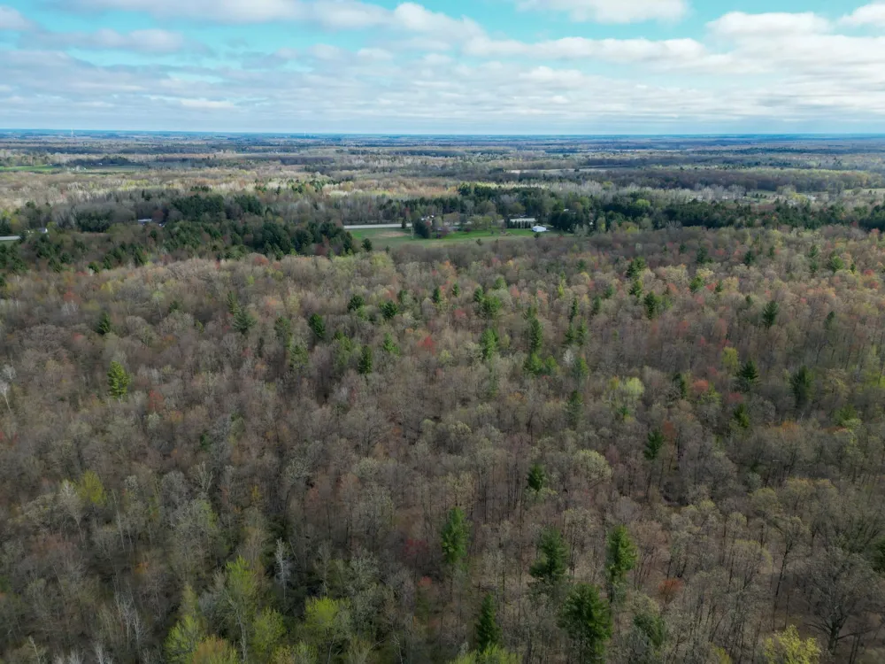 8670 E Pickard Road Chippewa Township, MI 48858