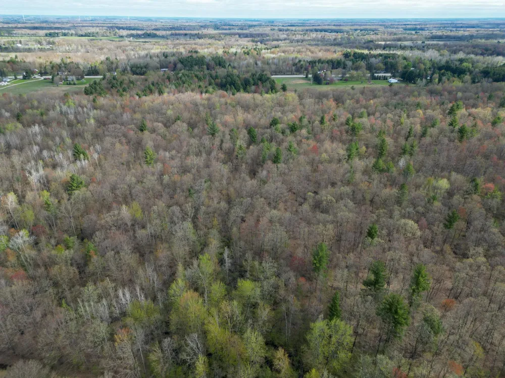 8670 E Pickard Road Chippewa Township, MI 48858
