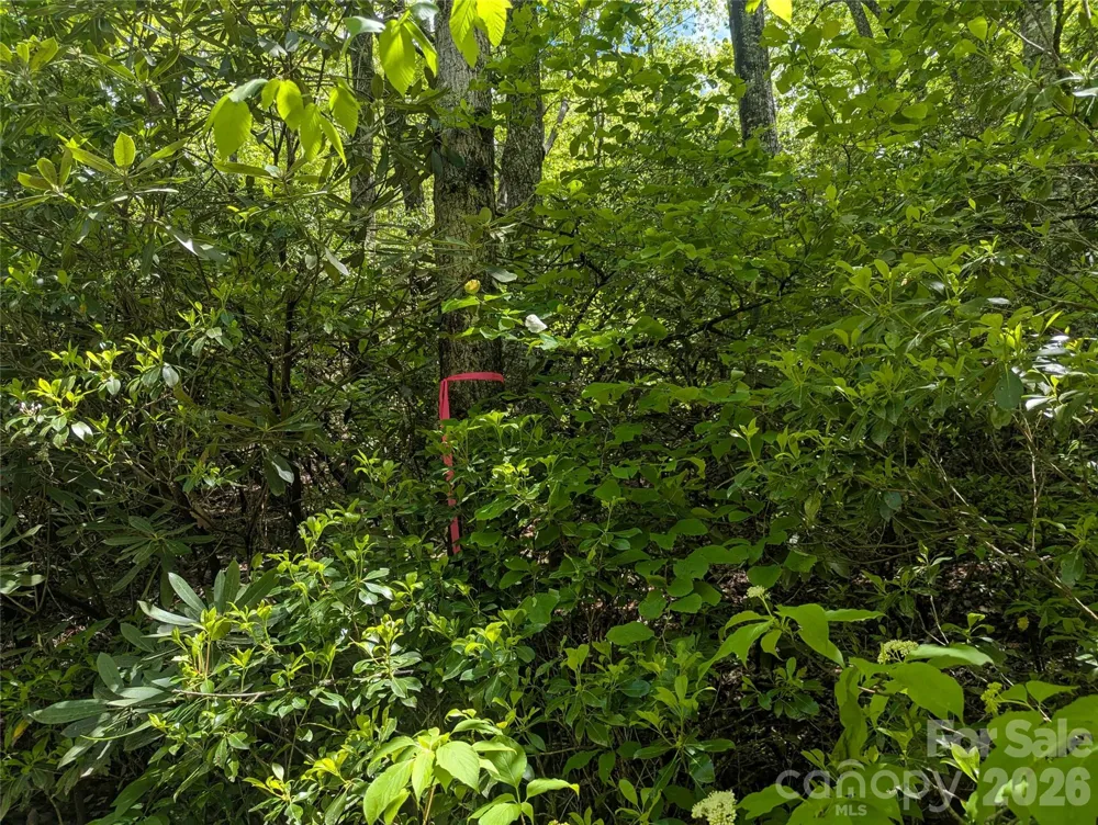 99999 Prospectors Trail Black Mountain, NC 28711