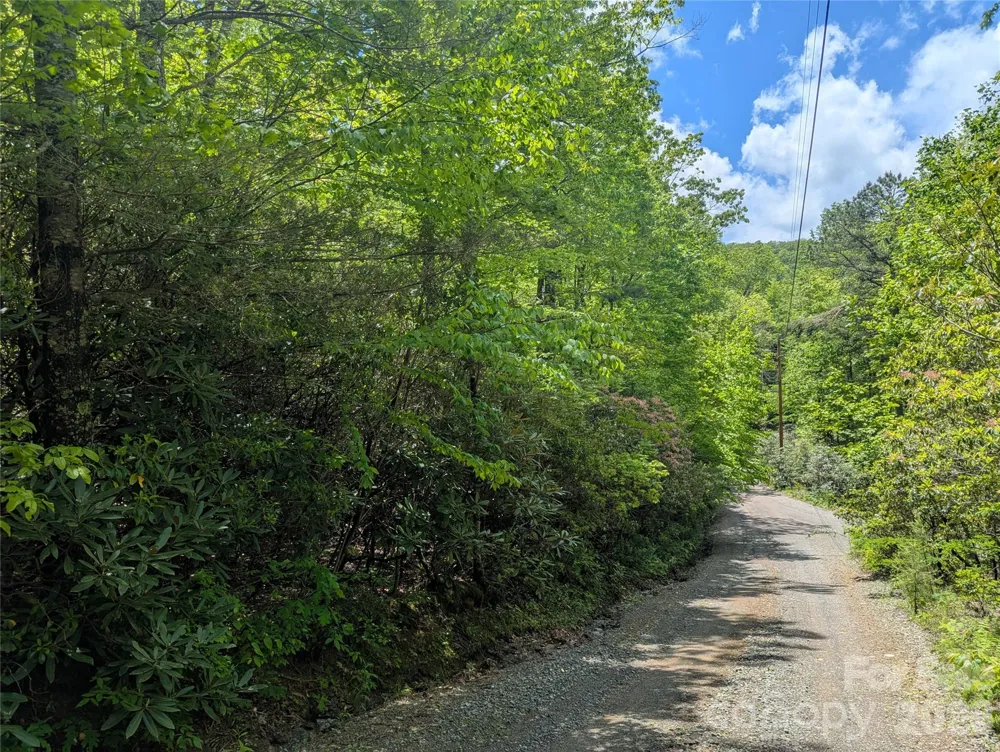 99999 Prospectors Trail Black Mountain, NC 28711