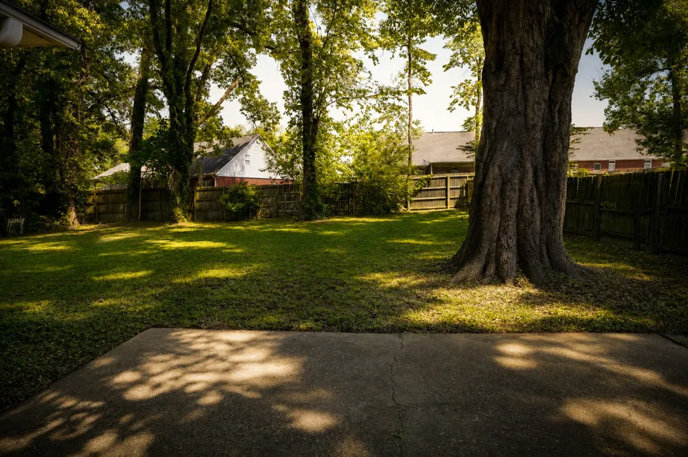 85 Charjean Dr Jackson, TN 38305