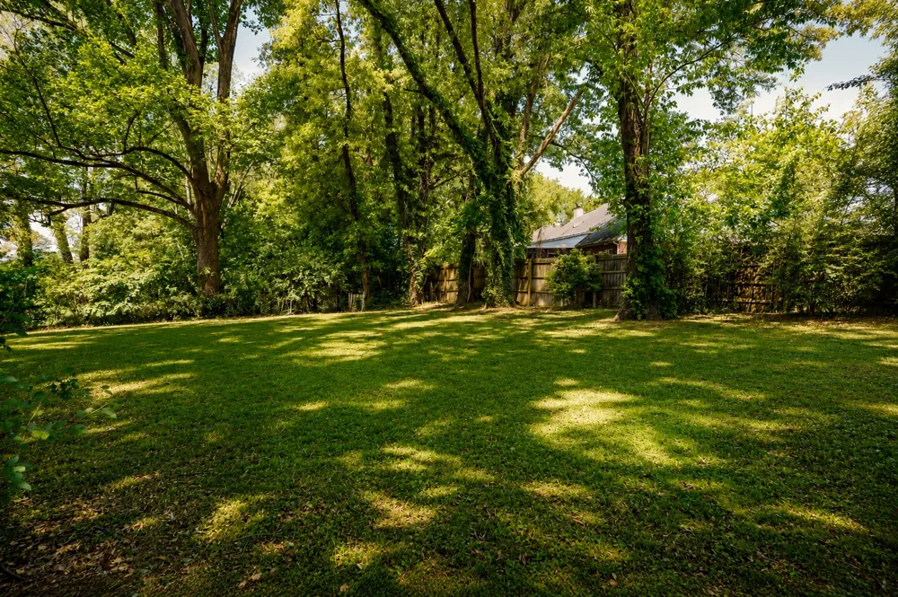 85 Charjean Dr Jackson, TN 38305