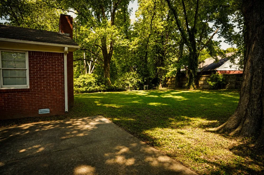 85 Charjean Dr Jackson, TN 38305