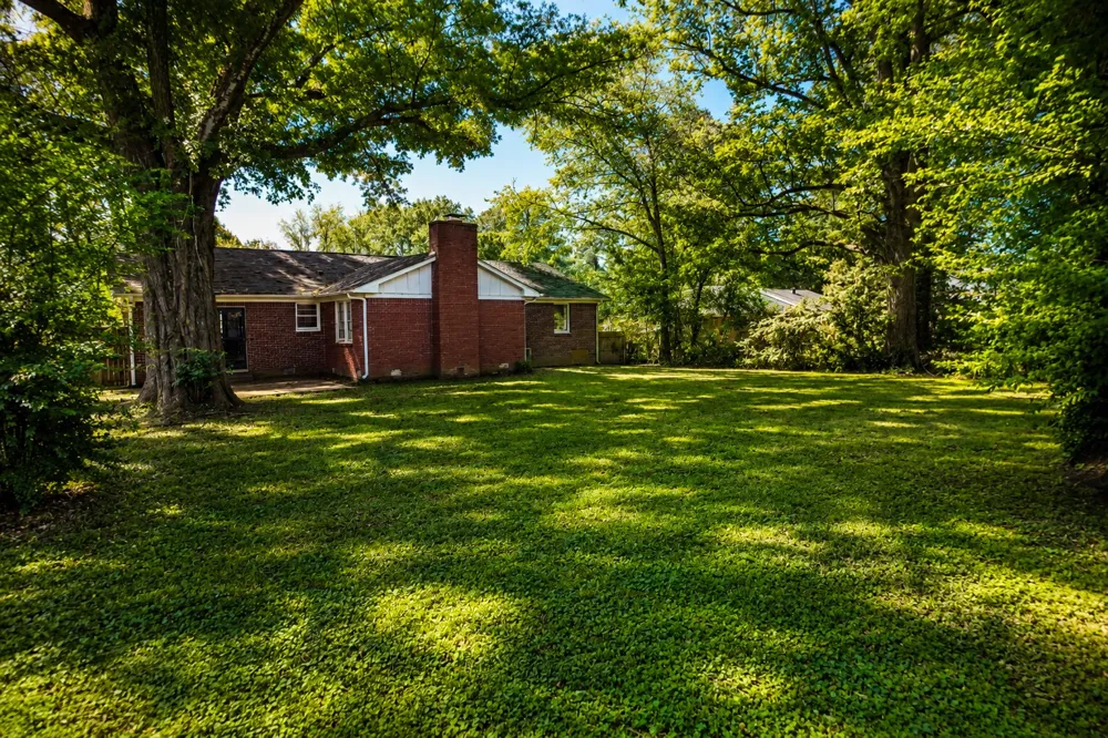 85 Charjean Dr Jackson, TN 38305