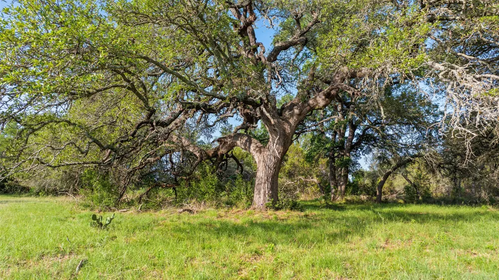 7 Morning Dew Drive Round Mountain, TX 78663
