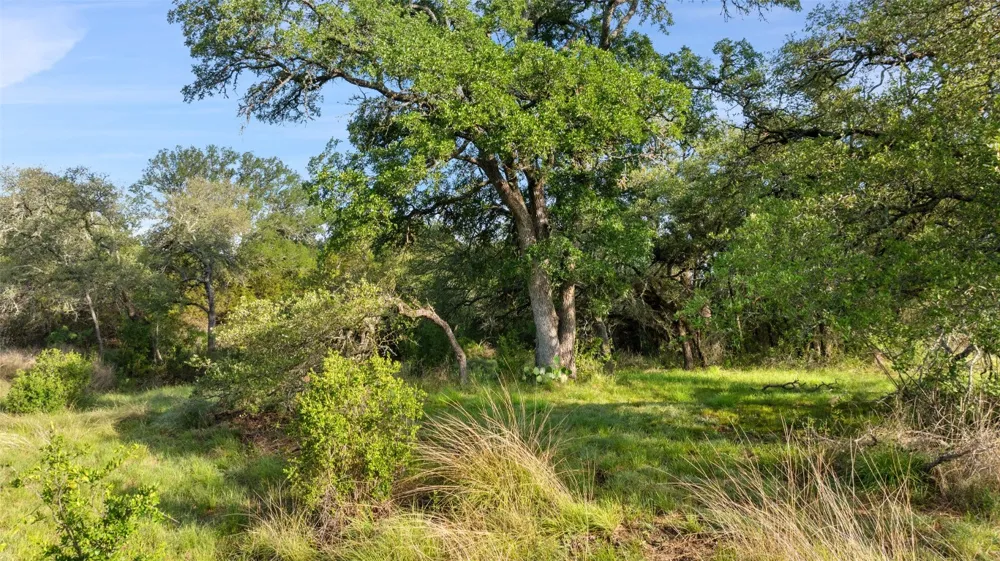 7 Morning Dew Drive Round Mountain, TX 78663