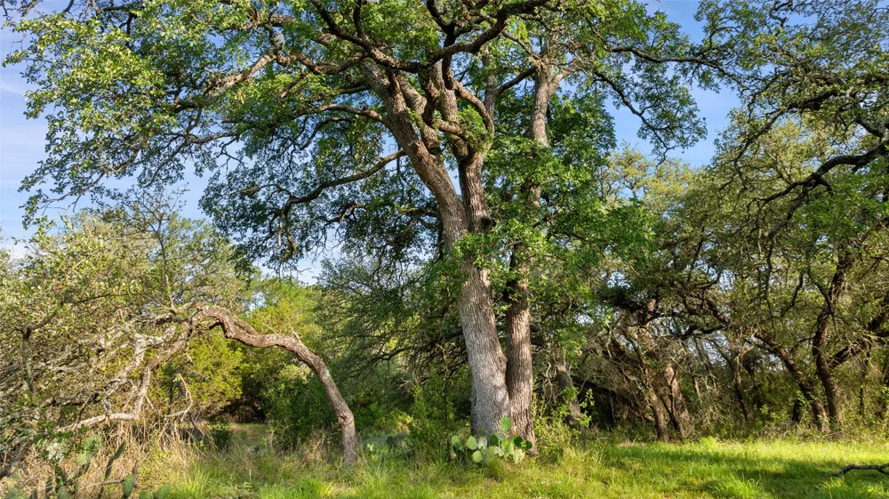 7 Morning Dew Drive Round Mountain, TX 78663