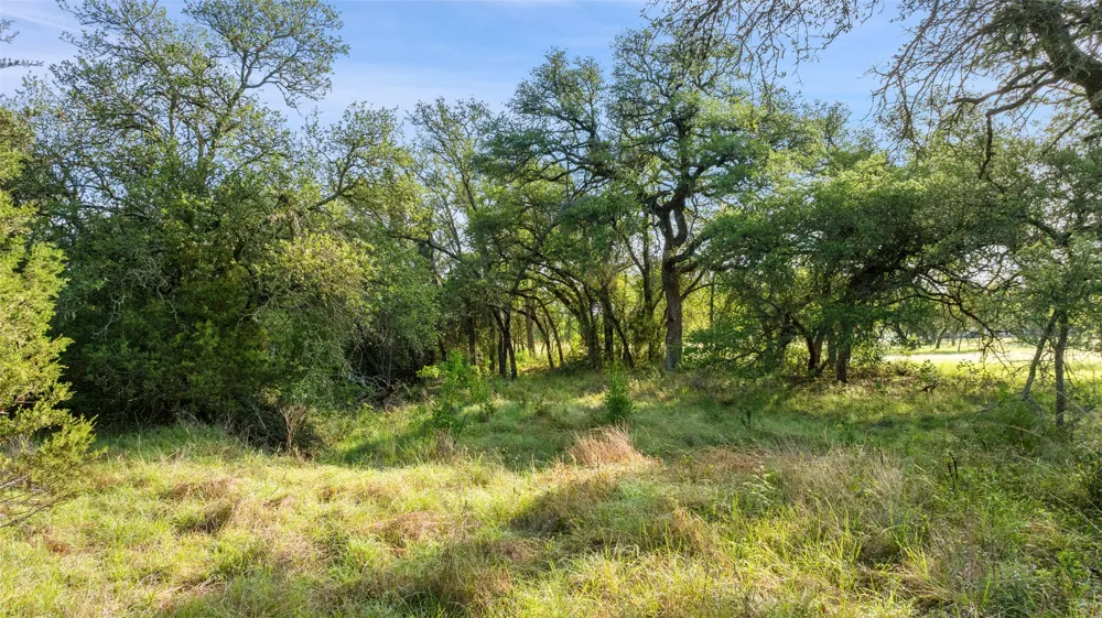 7 Morning Dew Drive Round Mountain, TX 78663