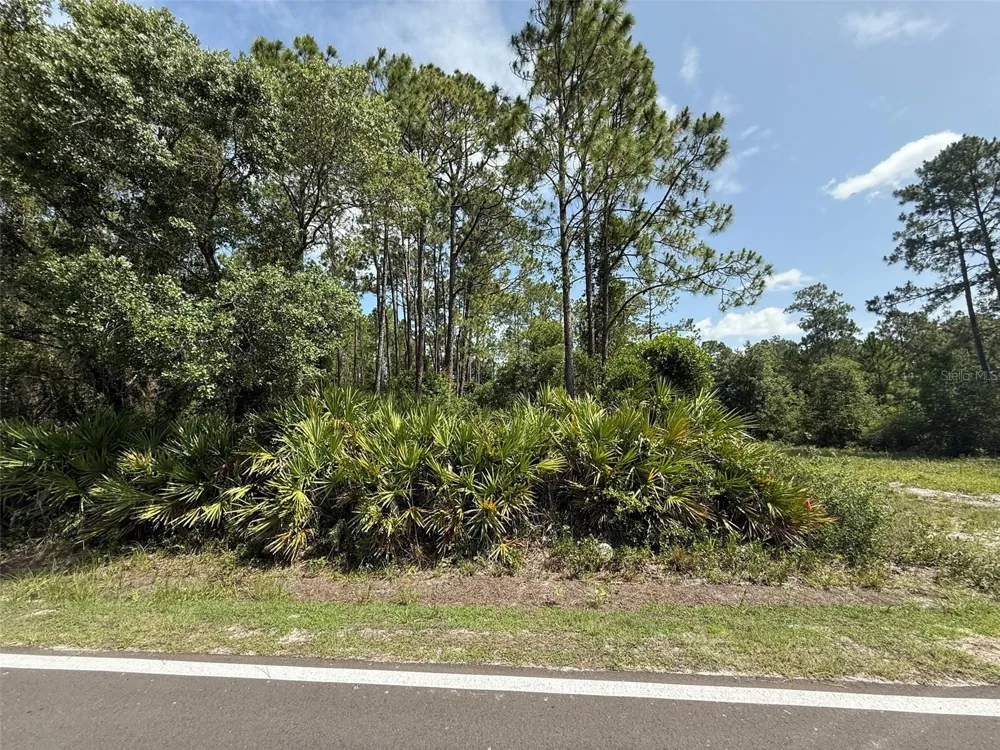 174 MILLICAN ROAD Palatka, FL 32177