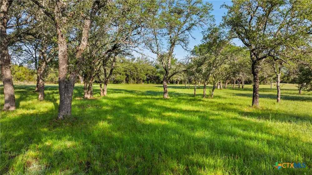 7 Morning Dew Drive Round Mountain, TX 78663