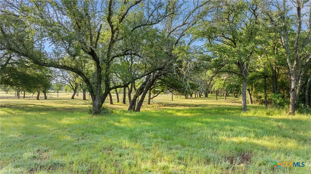 7 Morning Dew Drive Round Mountain, TX 78663