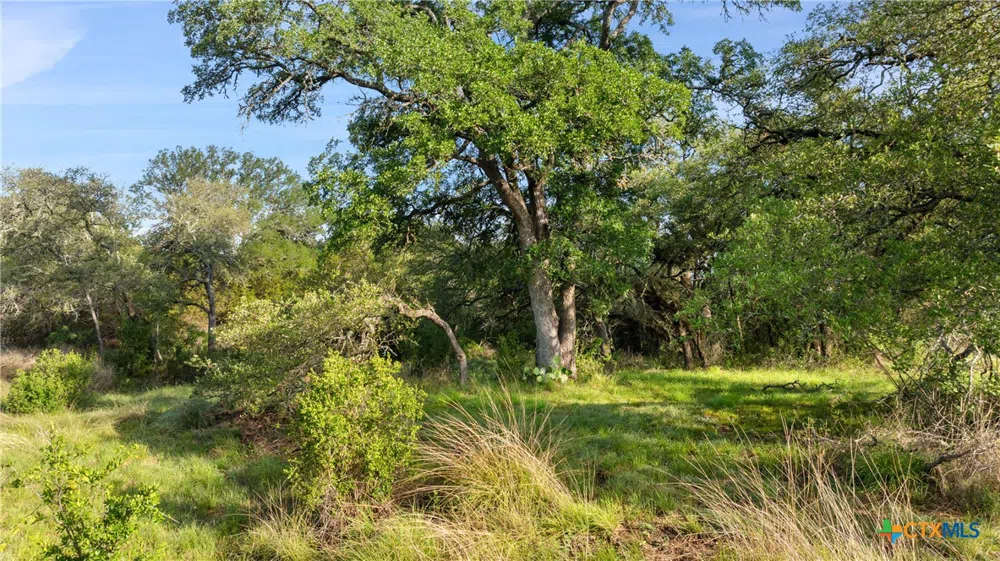 7 Morning Dew Drive Round Mountain, TX 78663