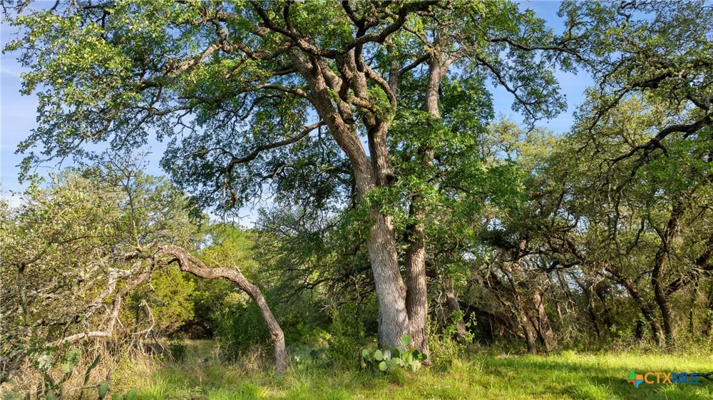7 Morning Dew Drive Round Mountain, TX 78663