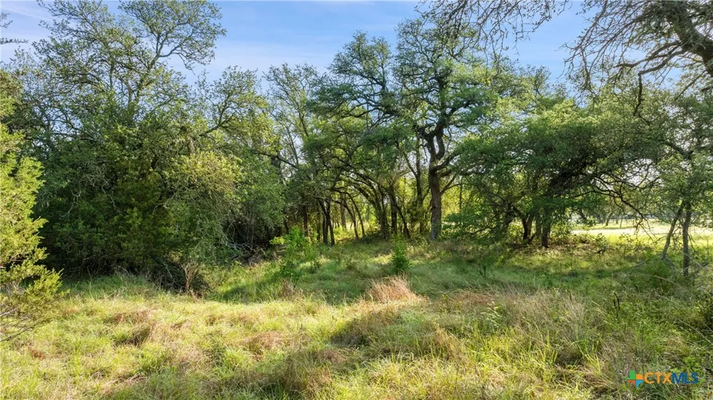 7 Morning Dew Drive Round Mountain, TX 78663