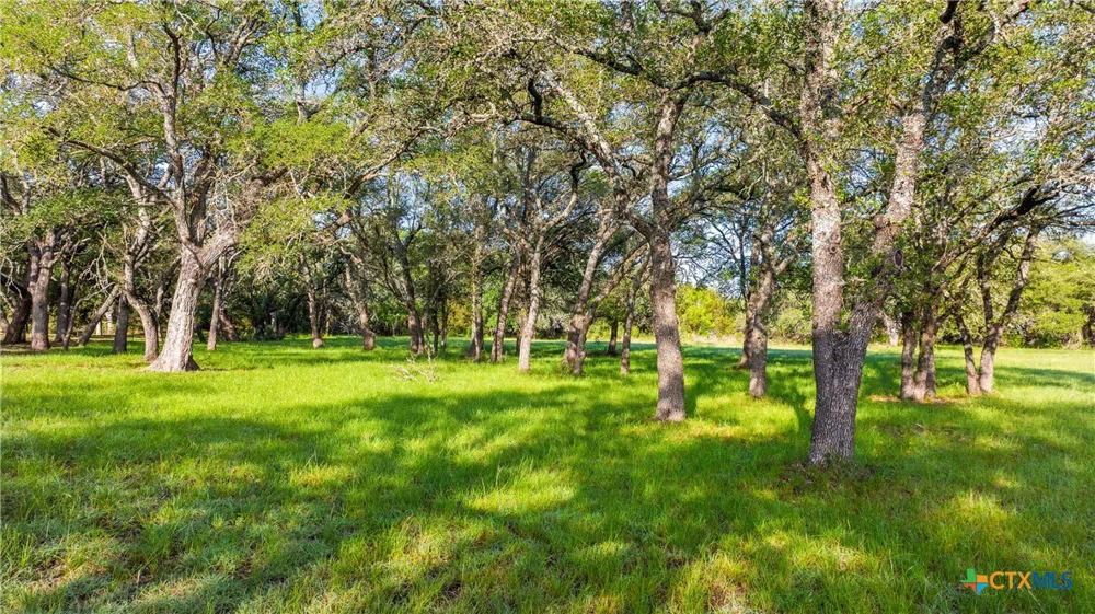 7 Morning Dew Drive Round Mountain, TX 78663