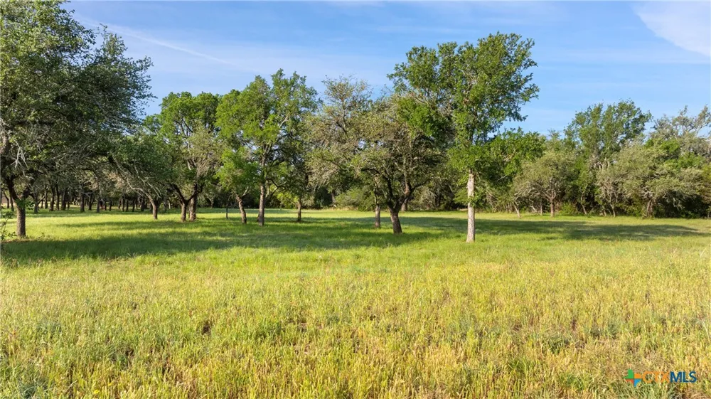 7 Morning Dew Drive Round Mountain, TX 78663